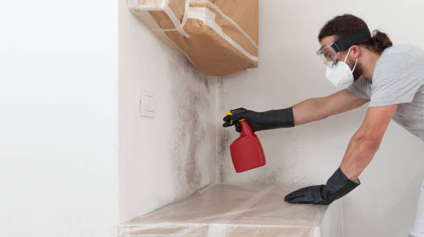 Professional Crawl Space Mold Remediation technician working in Spring House, PA