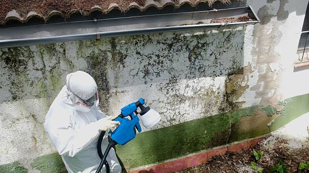 Top rated local Crawl Space Mold Remediation specialists in Spring House, PA